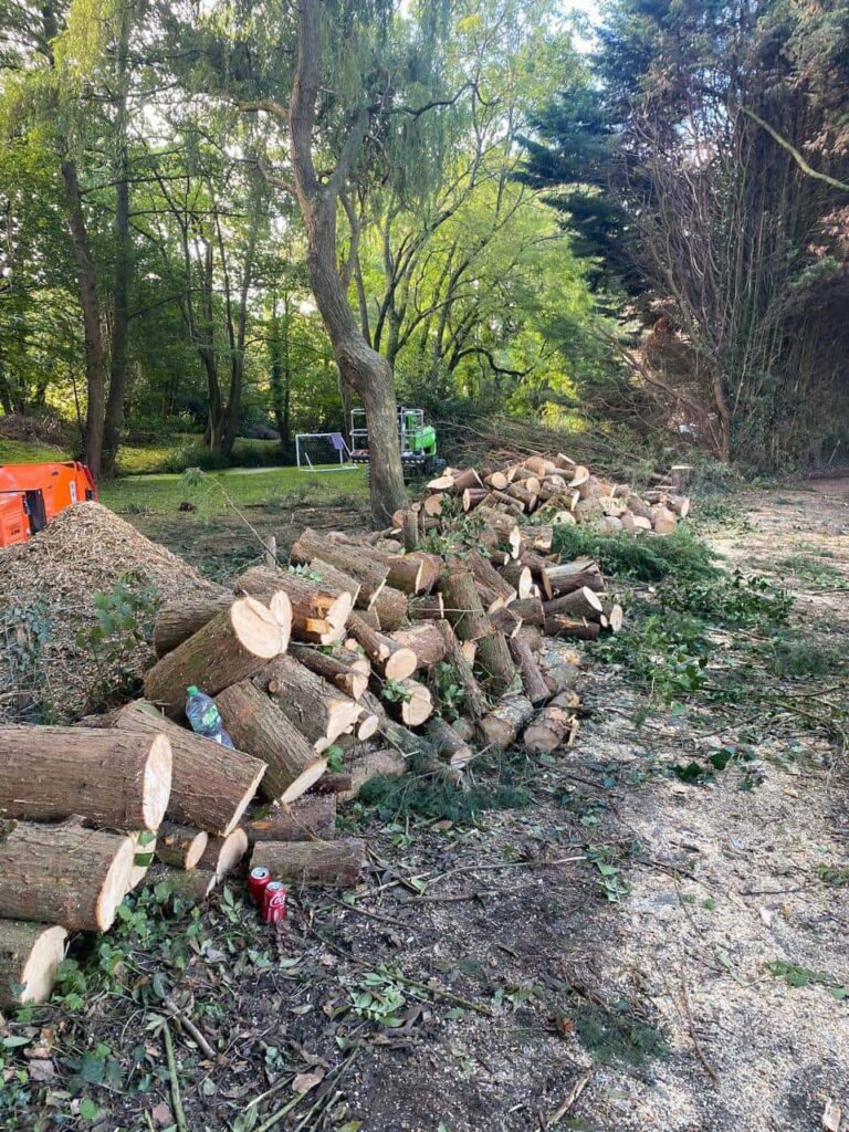 This is a photo of an overgrown large garden, which is in the process of having tree removal. The photo shows a stack of logs along the left hand side, from all the trees which are being removed. Photo taken by Wroxham Tree Surgeons