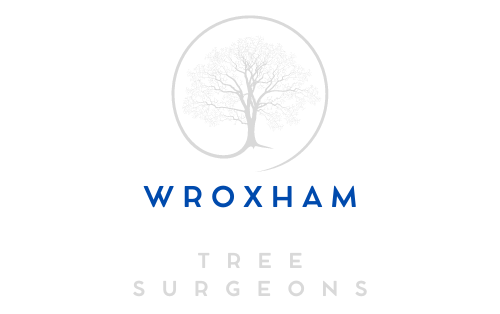 Wroxham Tree Logo Transparent